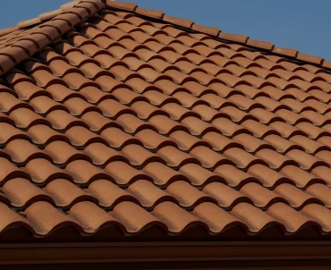 Roof Painting