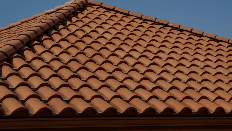 Roof Painting