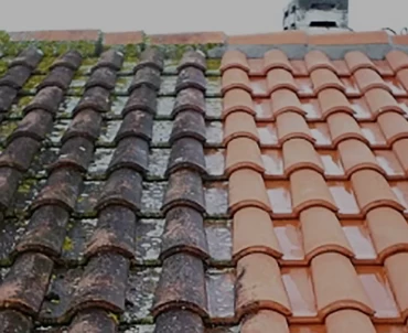 Roof Cleaning