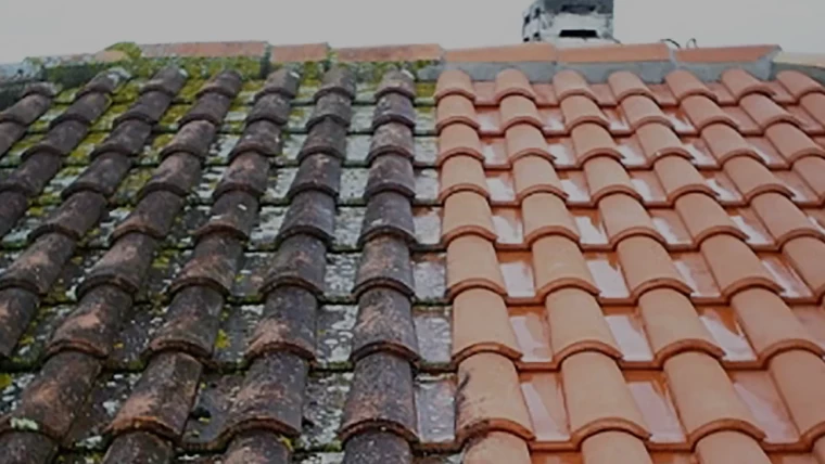 Roof Cleaning