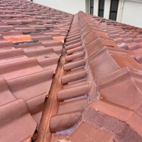 Best Roofing Services Sydney