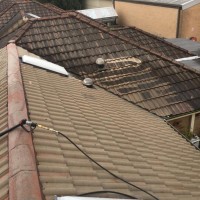 Best Roof-Cleaning Sydney