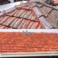 Professional Roof Pressure Cleaning – Sydney’s #1 Choice